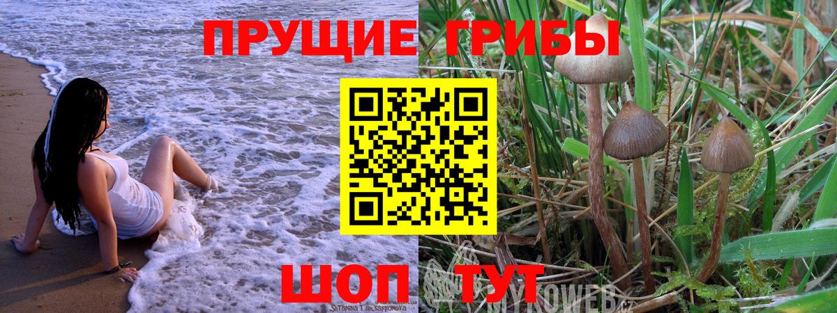 Галлюциногенные грибы Magic Shrooms Биробиджан