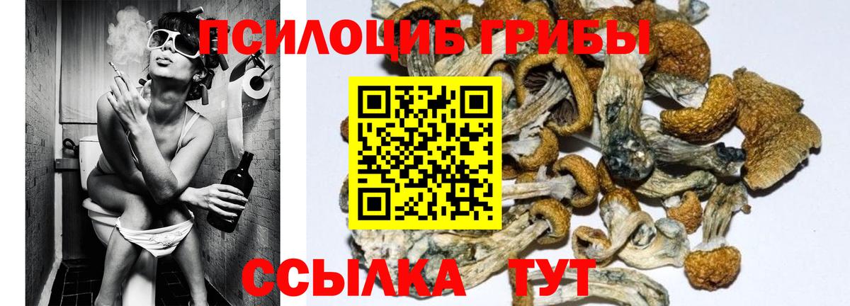 Псилоцибиновые грибы ЛСД  Вход с VPN  Псилоцибиновые грибы Psilocybe  Биробиджан 